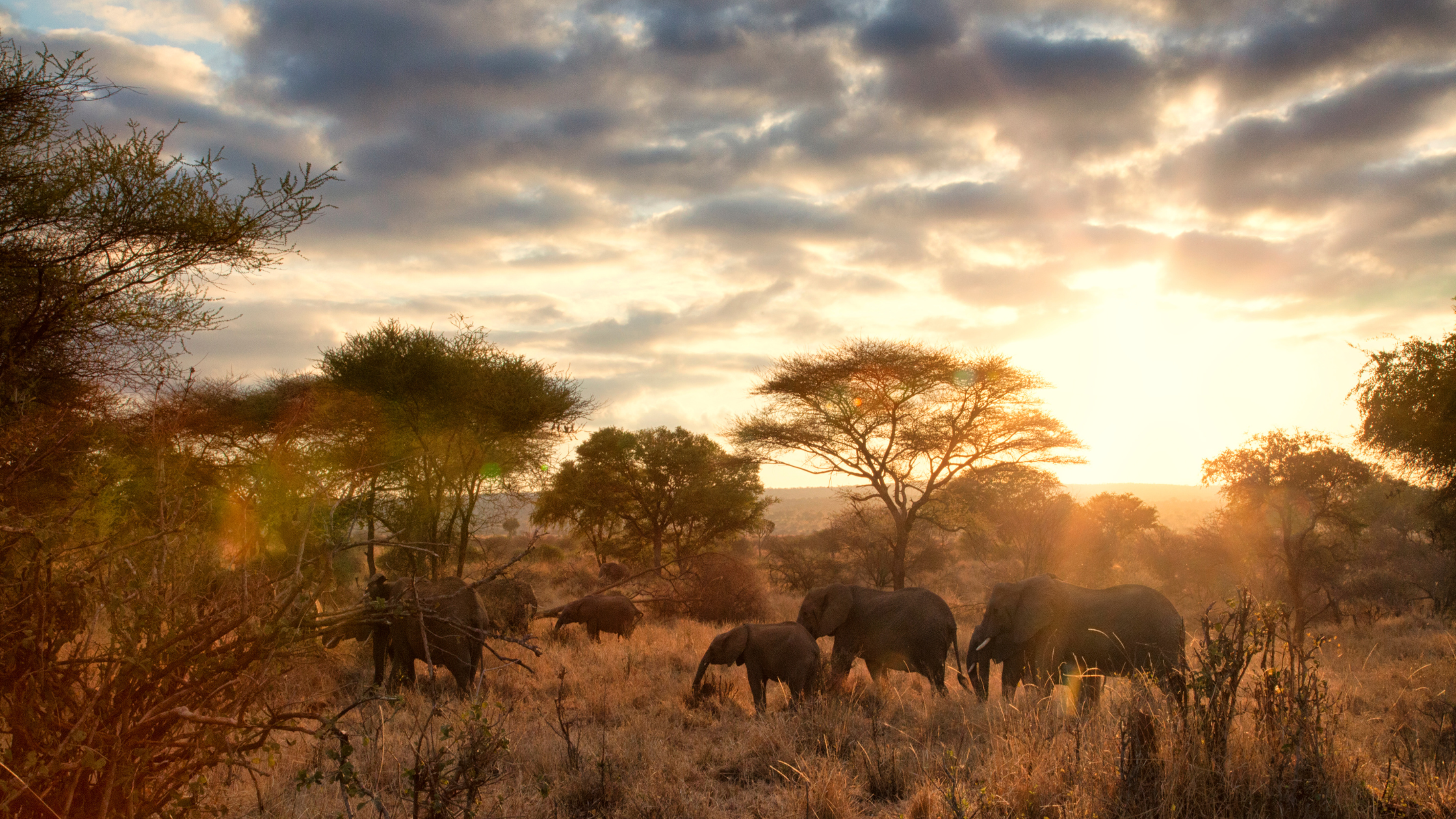 Cilla Travel, The Roof Of Africa & The Roots Of Civilization: A Soulful Journey Through Northern Tanzania